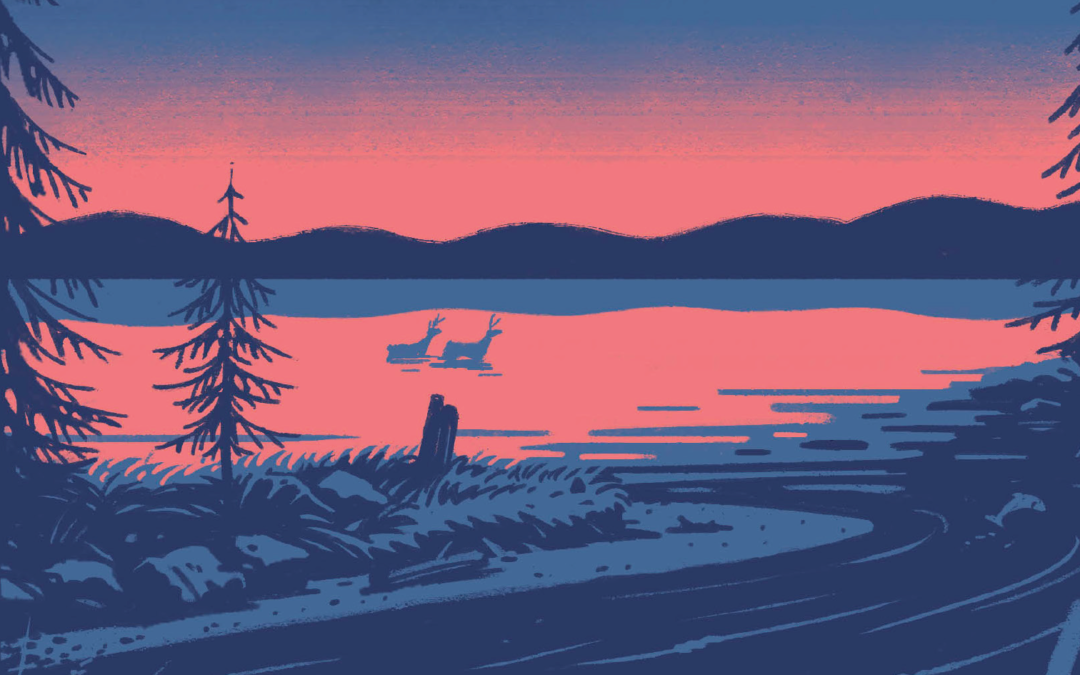 A pink and blue sunset on a lake, the cover background image of "Paradise on Fire"